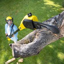 Lawn Edging in Great Neck Estates, NY